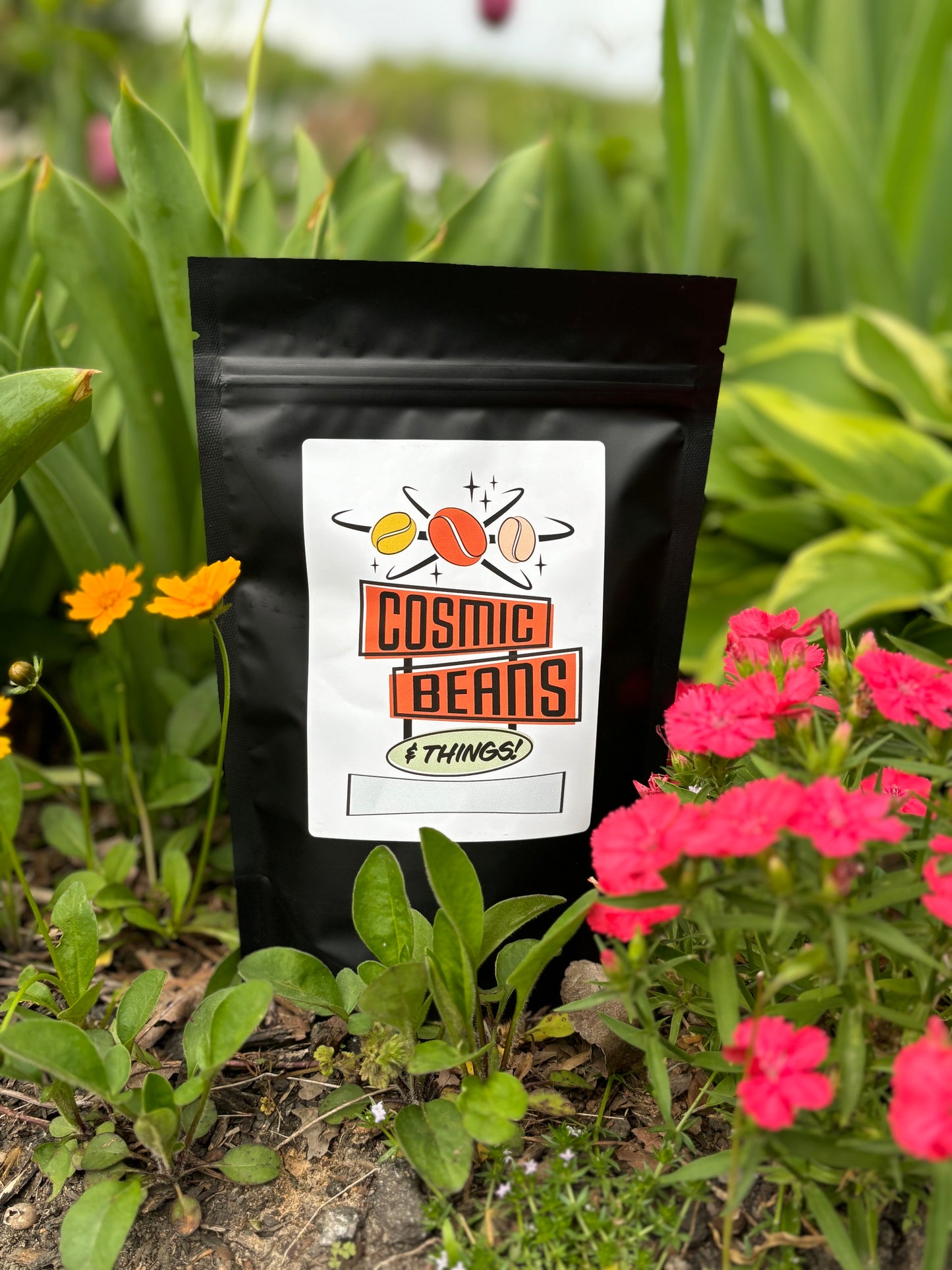 ASTRONAUT COFFEE