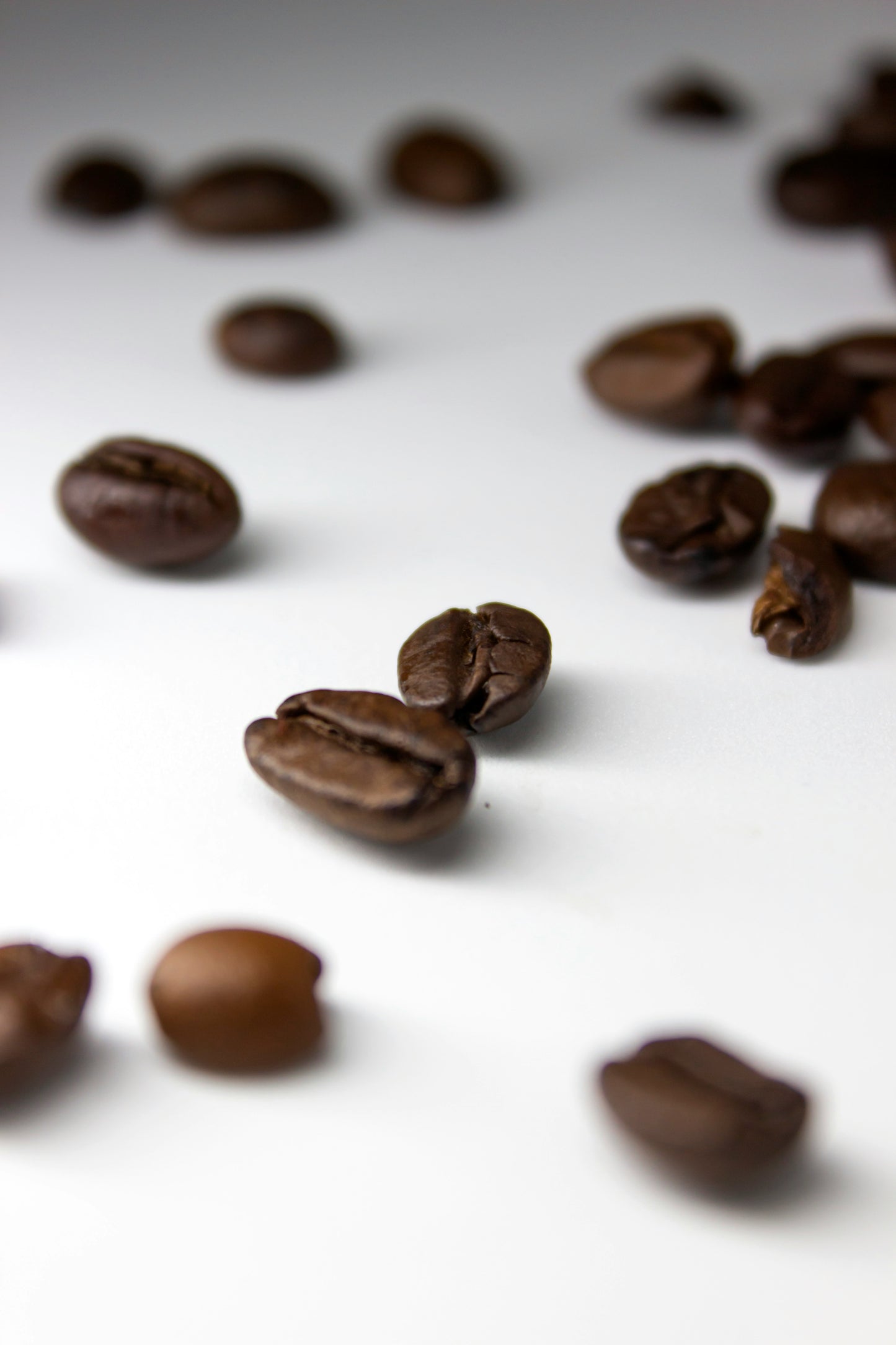 ASTRONAUT COFFEE