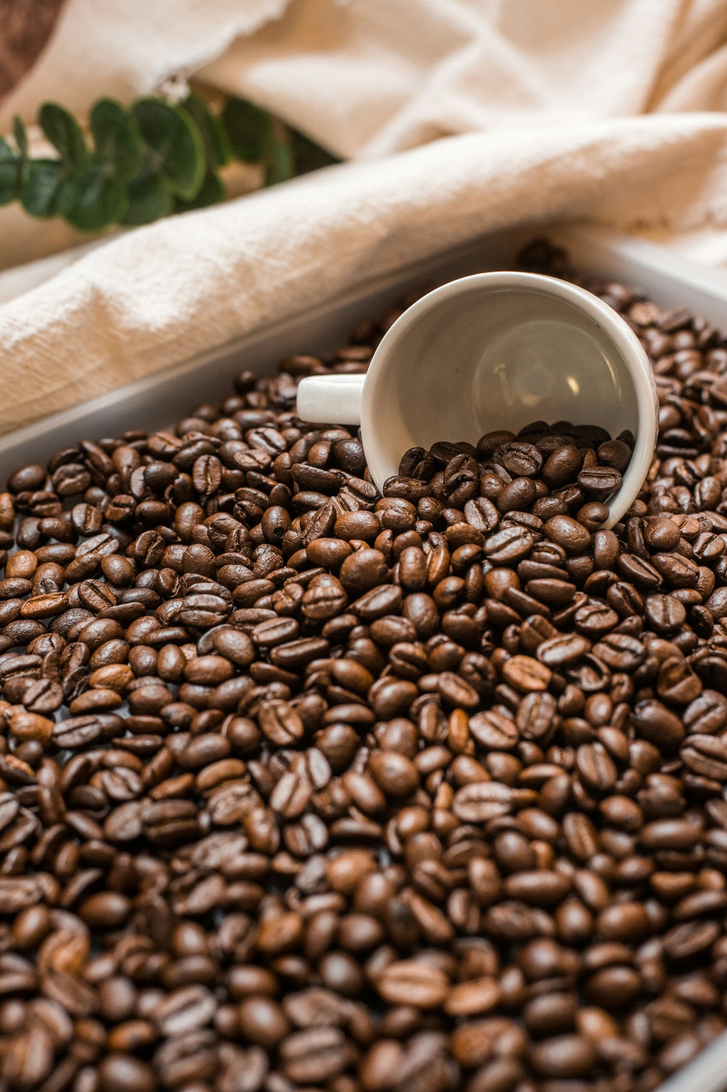 DECAF COLOMBIAN (NEW)